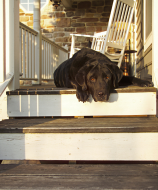 gaines ranch great homes in Austin